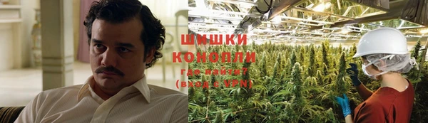 спиды Алзамай