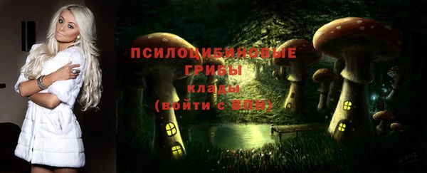 стафф Алексеевка