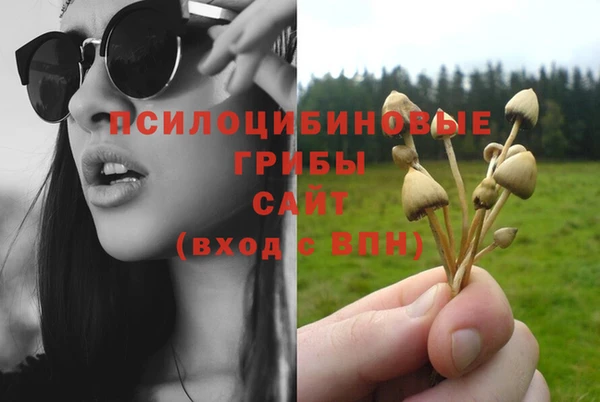 стафф Алексеевка