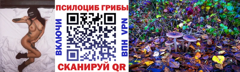 дарнет шоп Родники KRAKEN рабочий сайт Псилоцибиновые грибы Psilocybine cubensis